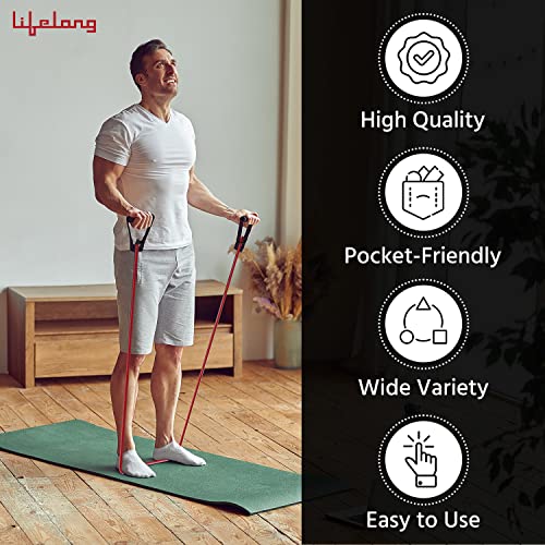 Lifelong Resistance Bands for Workout - Resistance Tube with Foam Handles - Exercise Equipment for Home with Door Anchor -Pull Rope for Gym Exercise -Toning Tube -Stretching Belt for Men & Women