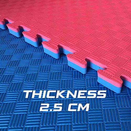 Kobo Imported Taekwondo Mats, Karate Training Gym Mat Interlocking Tile Reversible 25mm Thickness (4 Tiles), Red/Blue