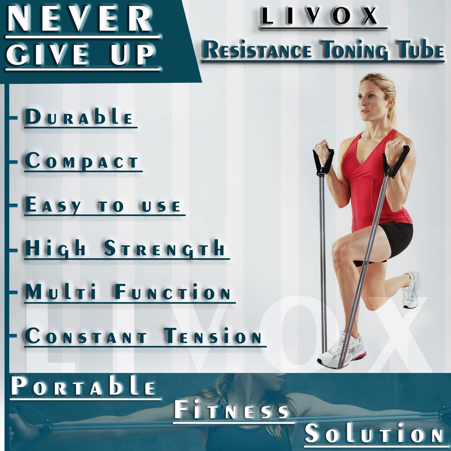 LIVOX Double Abs Wheel Roller Toning Resistance Tube Band with Push-up Bar Gym Exercise Equipment Combo Set for Men and Women Home Workout Kit